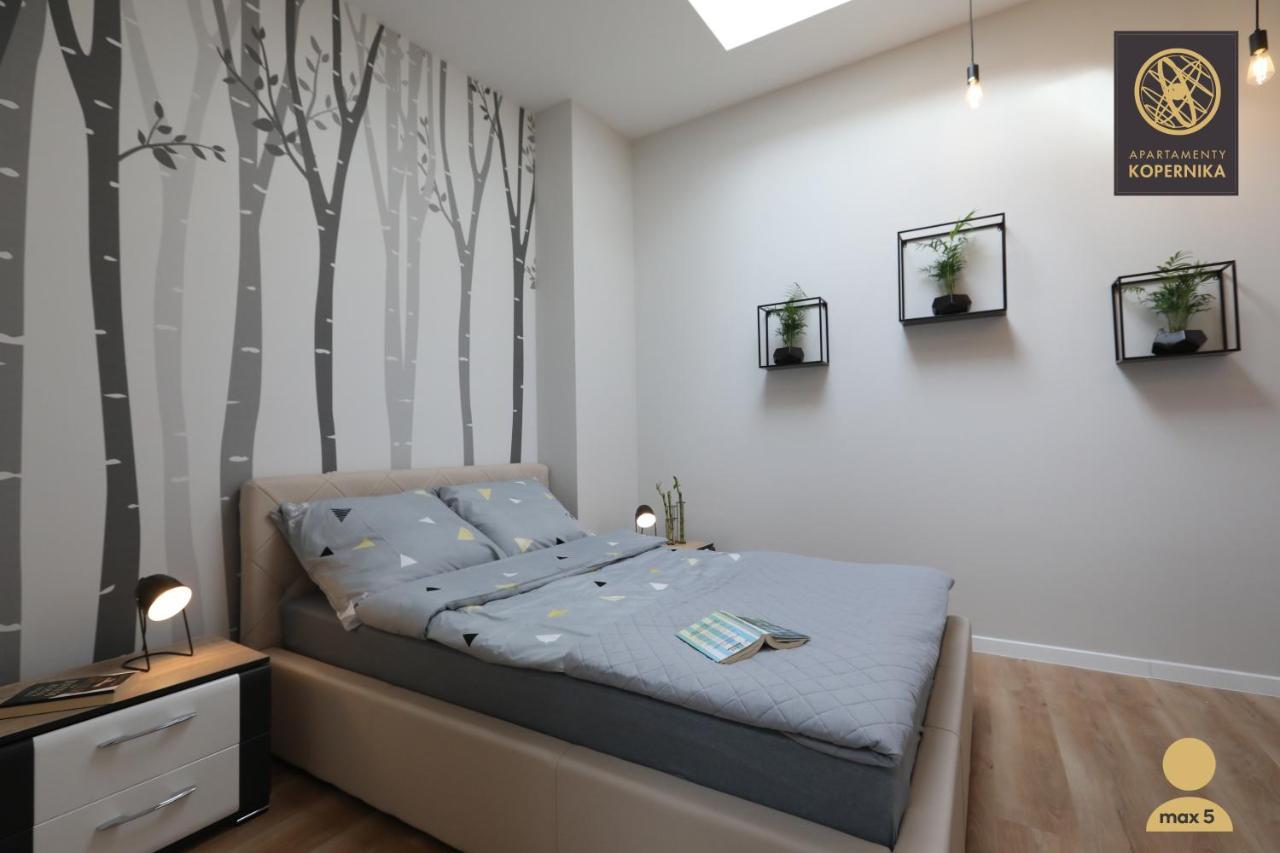 שצ'צ'ין Apartamenty Kopernika מראה חיצוני תמונה